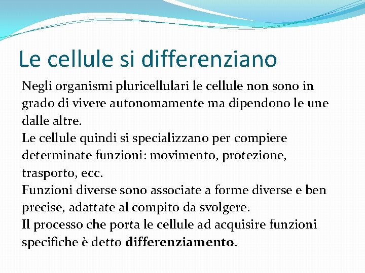 Le cellule si differenziano Negli organismi pluricellulari le cellule non sono in grado di