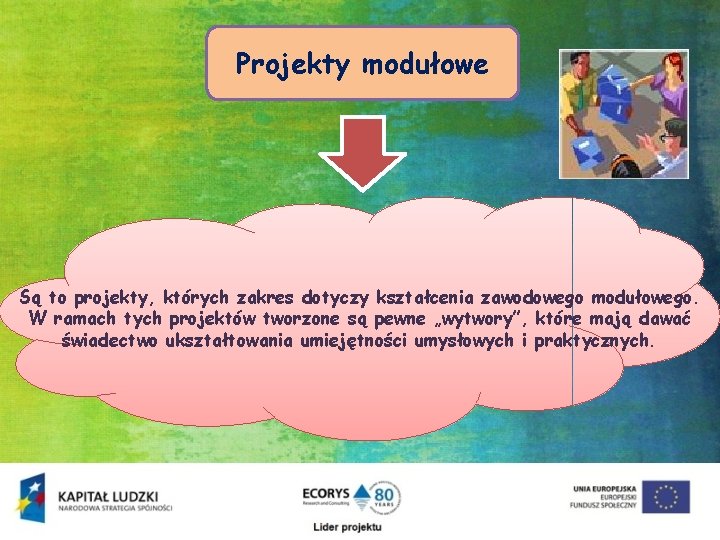 Projekty modułowe Są to projekty, których zakres dotyczy kształcenia zawodowego modułowego. W ramach tych