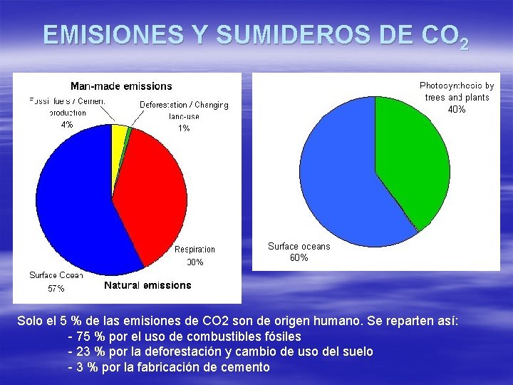 EMISIONES Y SUMIDEROS DE CO 2 Solo el 5 % de las emisiones de