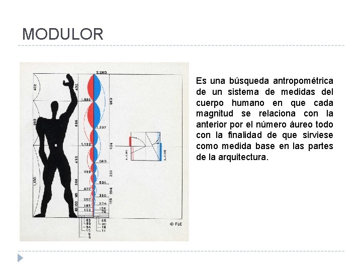 MODULOR Es una búsqueda antropométrica de un sistema de medidas del cuerpo humano en