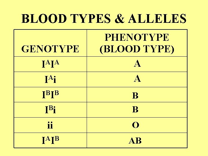 BLOOD TYPES & ALLELES GENOTYPE I AI A I Ai IB IB IB i