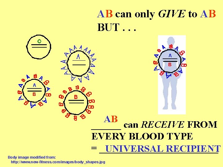 AB can only GIVE to AB BUT. . . AB ______ can RECEIVE FROM