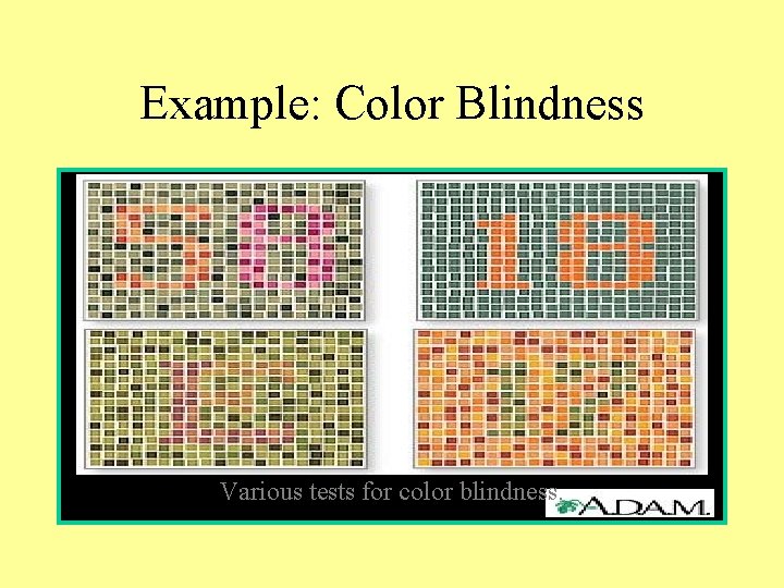 Example: Color Blindness Various tests for color blindness. 