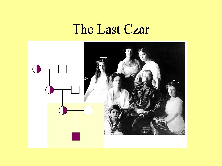 The Last Czar 