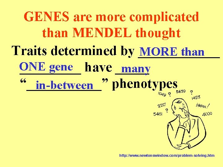 GENES are more complicated than MENDEL thought Traits determined by ______ MORE than ONE