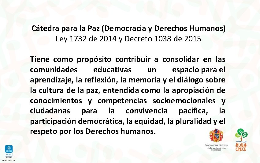 Cátedra para la Paz (Democracia y Derechos Humanos) Ley 1732 de 2014 y Decreto