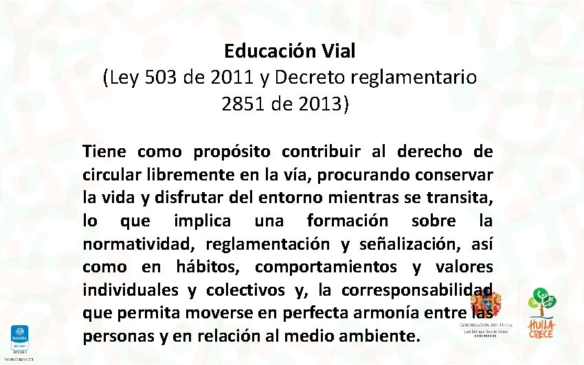 Educación Vial (Ley 503 de 2011 y Decreto reglamentario 2851 de 2013) Tiene como