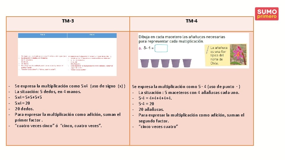 TM-3 - Se expresa la multiplicación como 5 x 4 (uso de signo (x)