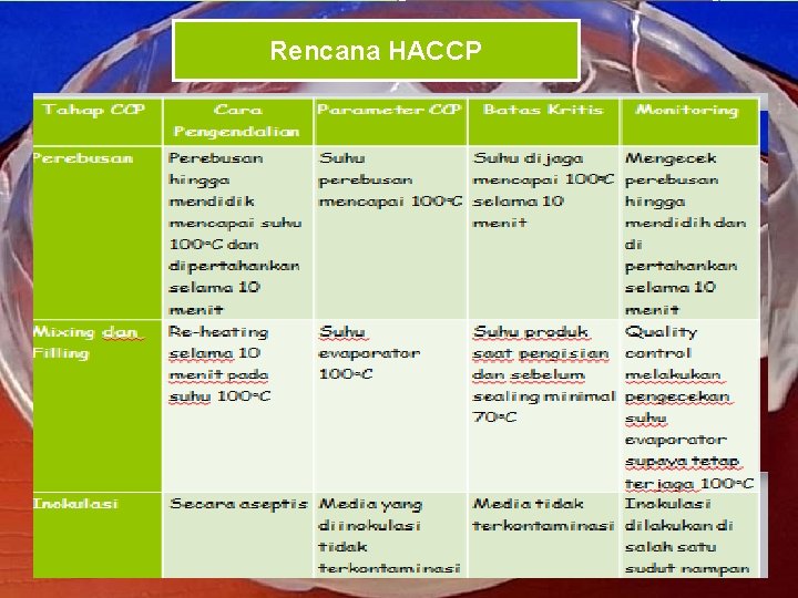 Rencana HACCP 