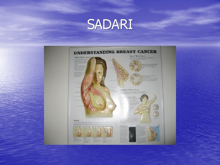 SADARI SADARI