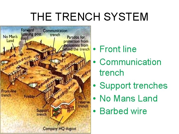THE TRENCH SYSTEM • Front line • Communication trench • Support trenches • No THE TRENCH SYSTEM • Front line • Communication trench • Support trenches • No