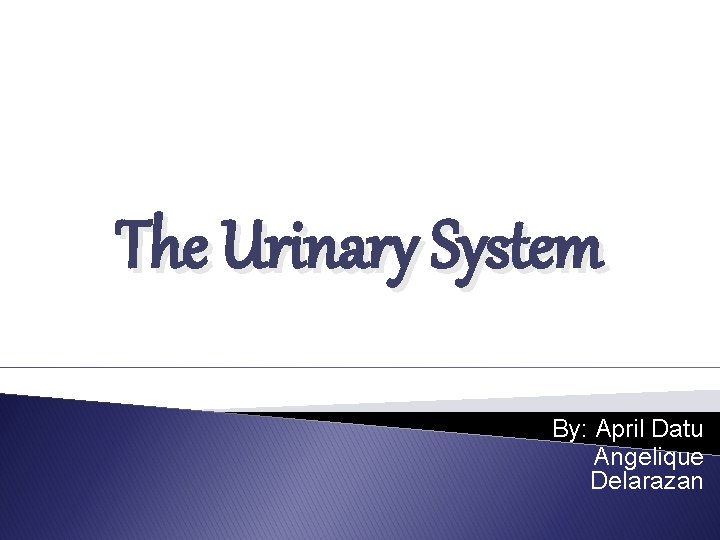 The Urinary System By: April Datu Angelique Delarazan 