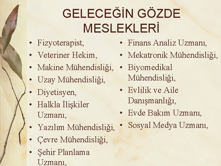 GELECEĞİN GÖZDE MESLEKLERİ • • • Fizyoterapist, Veteriner Hekim, Makine Mühendisliği, Uzay Mühendisliği, Diyetisyen,