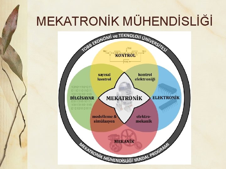 MEKATRONİK MÜHENDİSLİĞİ 