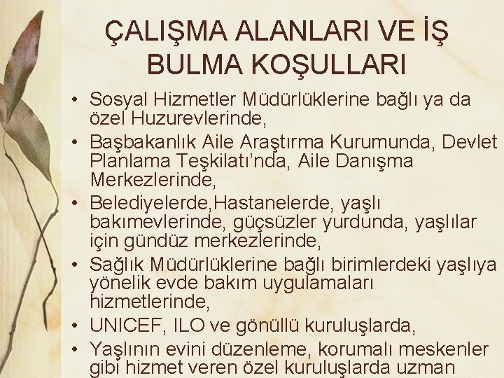 ÇALIŞMA ALANLARI VE İŞ BULMA KOŞULLARI • Sosyal Hizmetler Müdürlüklerine bağlı ya da özel