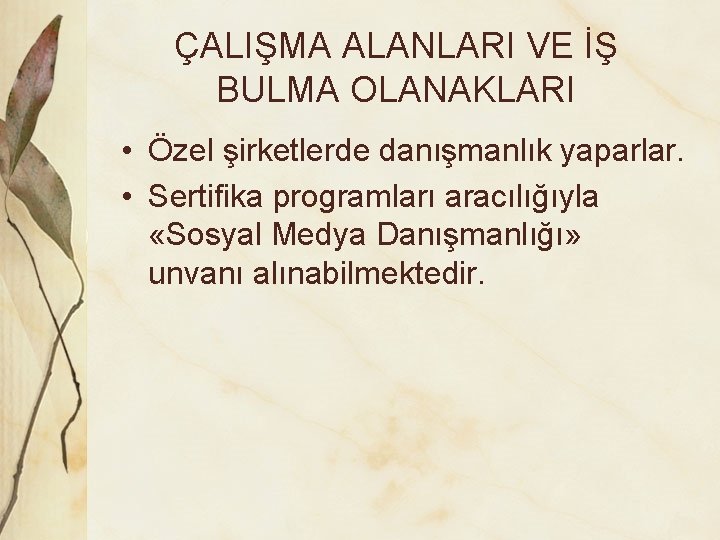 ÇALIŞMA ALANLARI VE İŞ BULMA OLANAKLARI • Özel şirketlerde danışmanlık yaparlar. • Sertifika programları