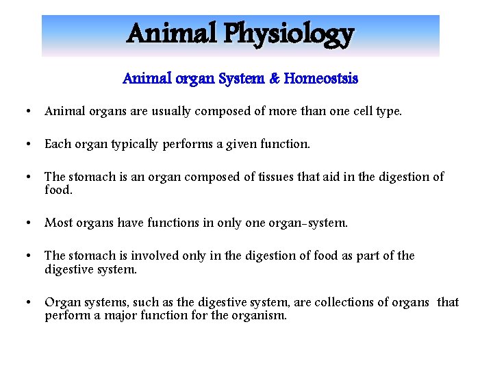 Animal Physiology Animal organ System & Homeostsis • Animal organs are usually composed of