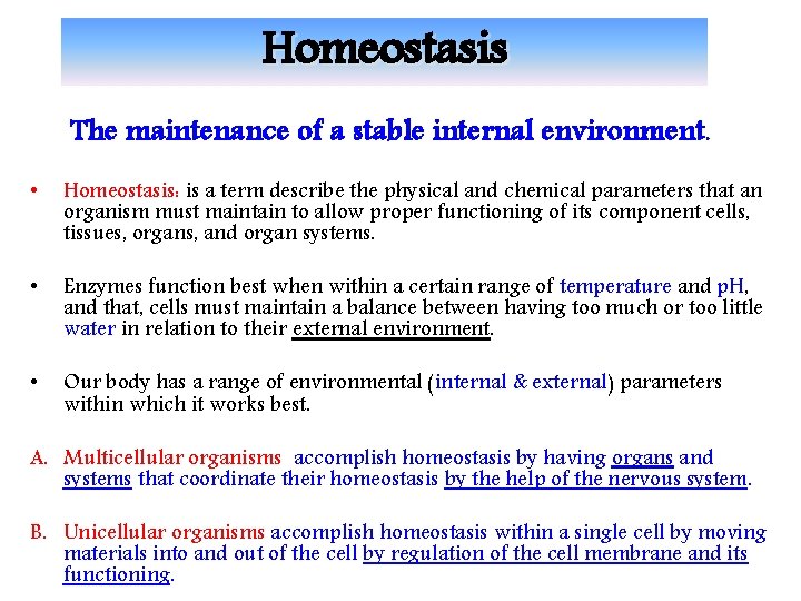 Homeostasis The maintenance of a stable internal environment. • Homeostasis: is a term describe