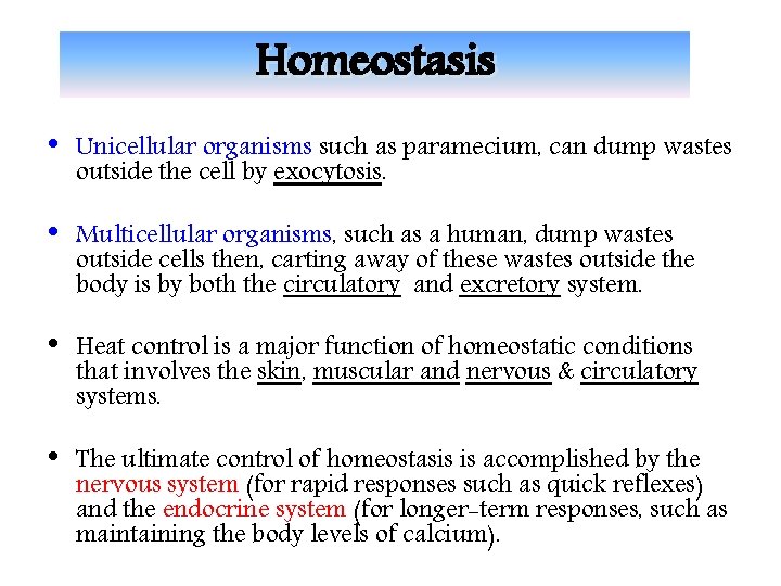 Homeostasis • Unicellular organisms such as paramecium, can dump wastes outside the cell by