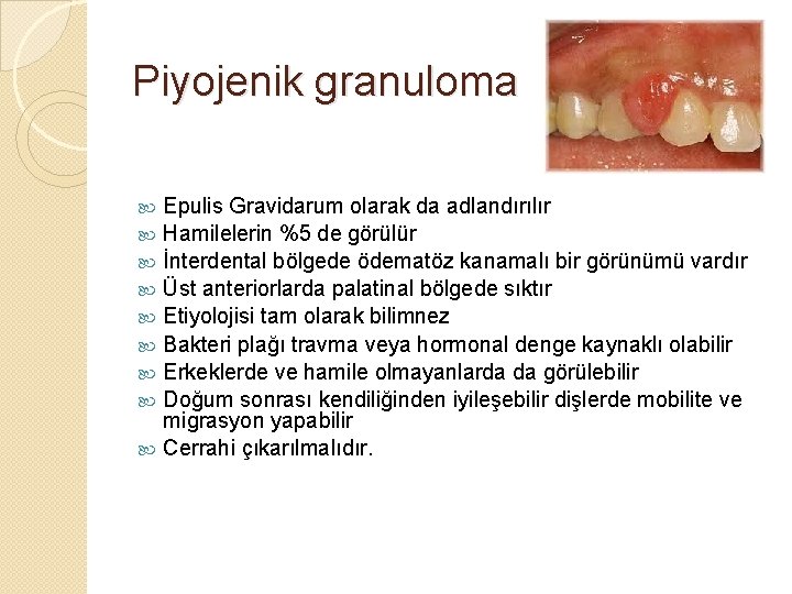 Piyojenik granuloma Epulis Gravidarum olarak da adlandırılır Hamilelerin %5 de görülür İnterdental bölgede ödematöz