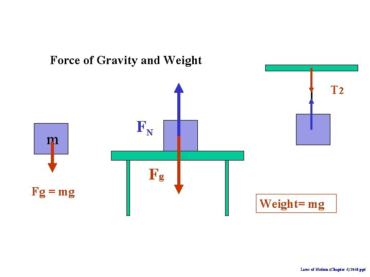 Force of Gravity and Weight T 2 m FN Fg Fg = mg Weight=