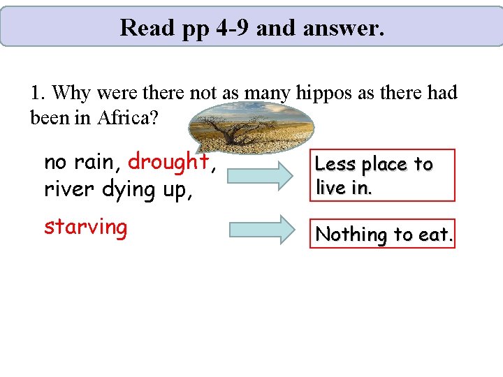 Read pp 4 -9 and answer. 1. Why were there not as many hippos