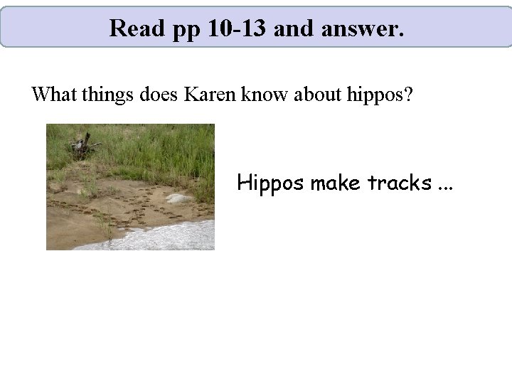 Read pp 10 -13 and answer. What things does Karen know about hippos? Hippos