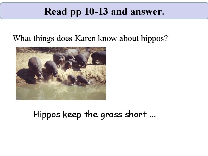 Read pp 10 -13 and answer. What things does Karen know about hippos? Hippos