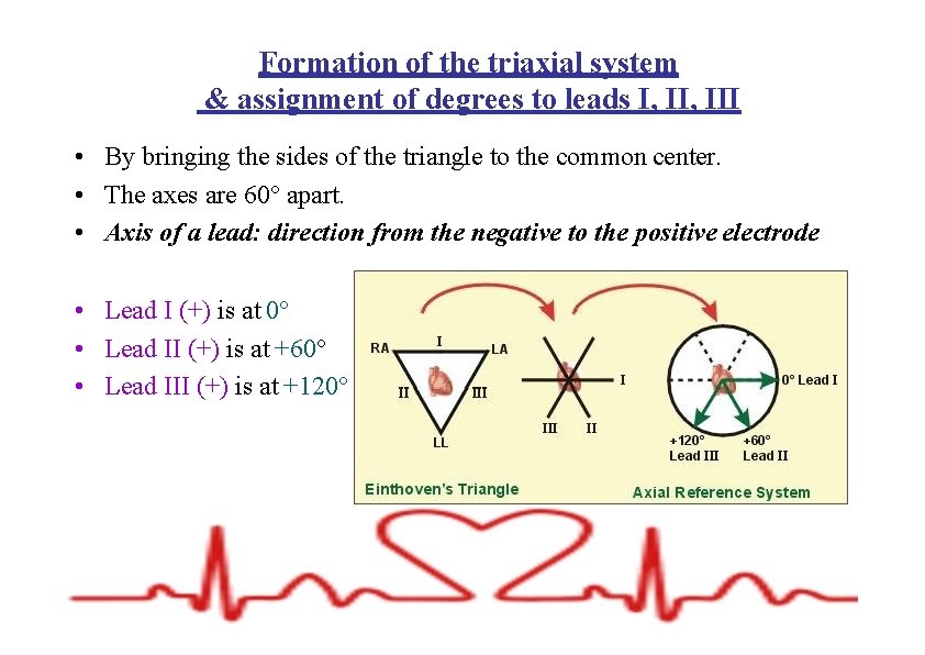 Formation of the triaxial system & assignment of degrees to leads I, III •