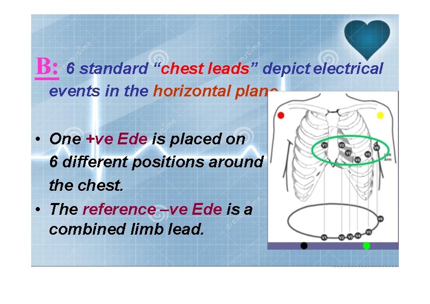 B: 6 standard “chest leads” depict electrical events in the horizontal plan e. •