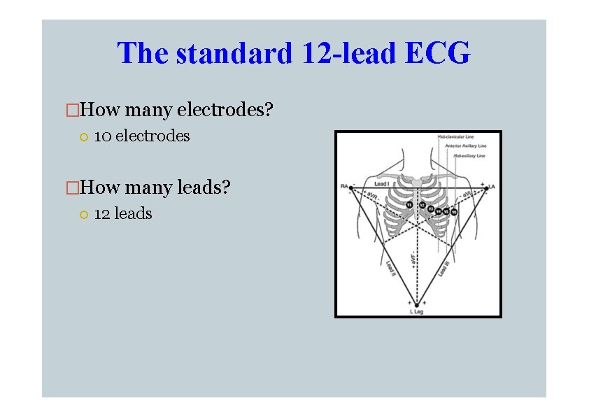 The standard 12 -lead ECG �How many electrodes? 10 electrodes �How many leads? 12