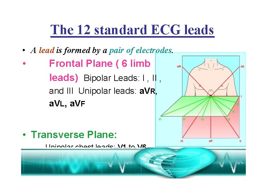 The 12 standard ECG leads • A lead is formed by a pair of