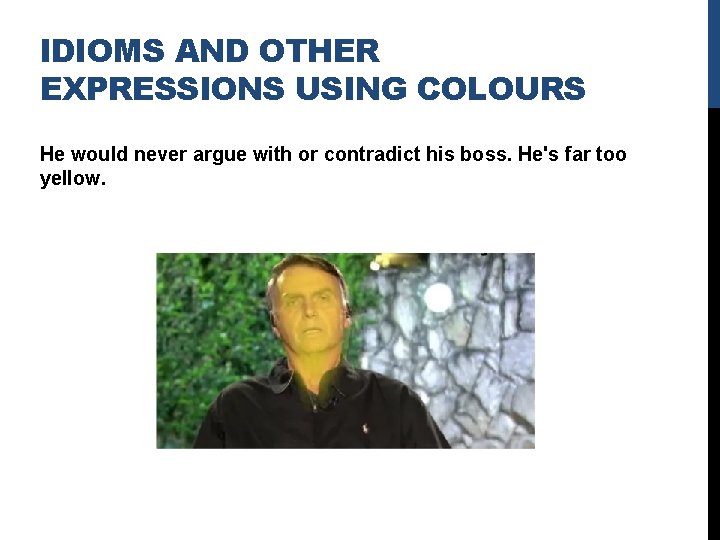 IDIOMS AND OTHER EXPRESSIONS USING COLOURS He would never argue with or contradict his