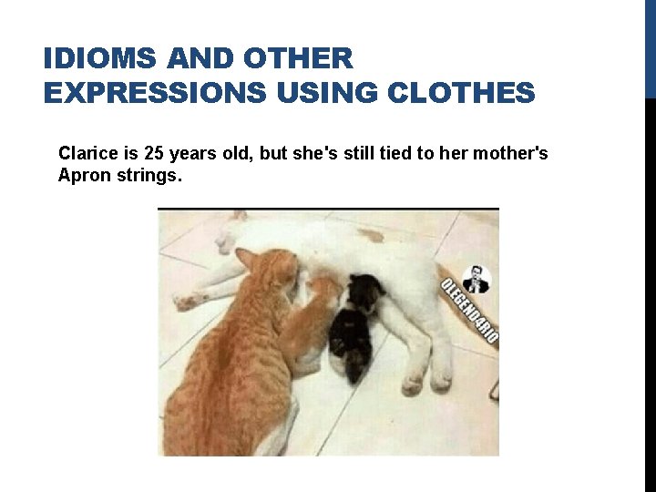 IDIOMS AND OTHER EXPRESSIONS USING CLOTHES Clarice is 25 years old, but she's still