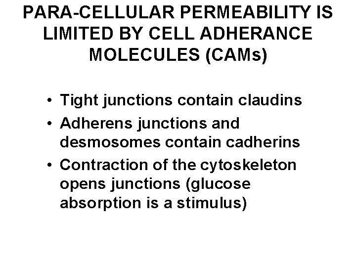 PARA-CELLULAR PERMEABILITY IS LIMITED BY CELL ADHERANCE MOLECULES (CAMs) • Tight junctions contain claudins