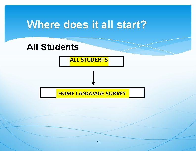 Where does it all start? All Students ALL STUDENTS HOME LANGUAGE SURVEY 12 