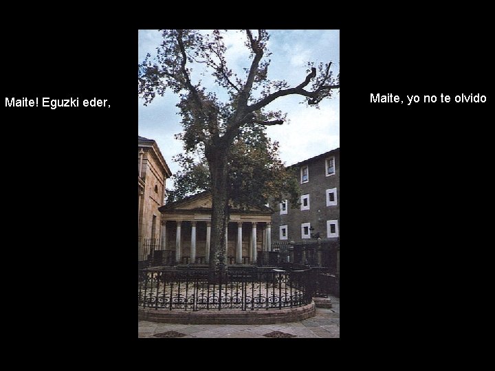 Maite! Eguzki eder, Maite, yo no te olvido 