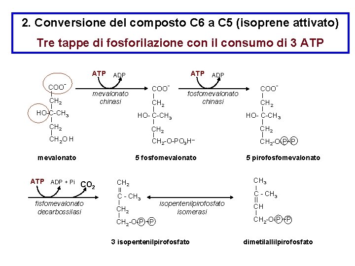 2. Conversione del composto C 6 a C 5 (isoprene attivato) Tre tappe di