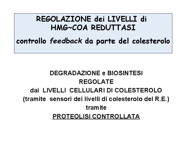 REGOLAZIONE dei LIVELLI di HMG~COA REDUTTASI controllo feedback da parte del colesterolo DEGRADAZIONE e