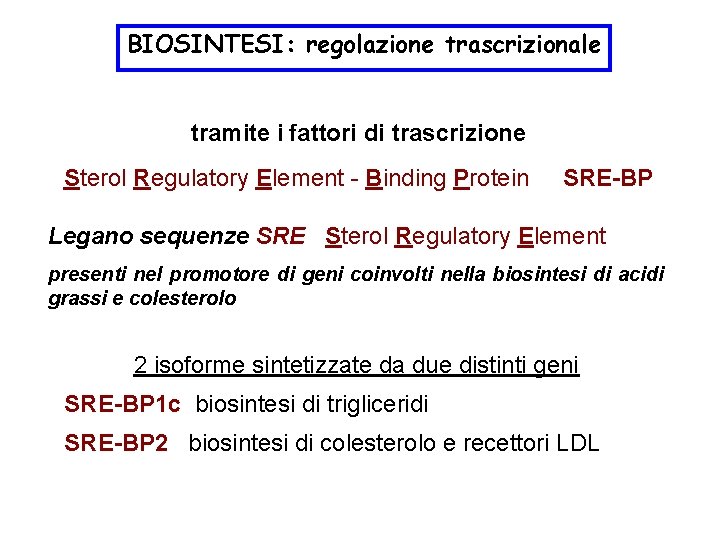 BIOSINTESI: regolazione trascrizionale tramite i fattori di trascrizione Sterol Regulatory Element - Binding Protein