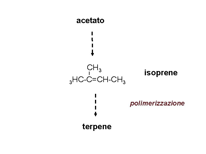 acetato CH 3 I 3 HC-C=CH-CH 3 isoprene polimerizzazione terpene 