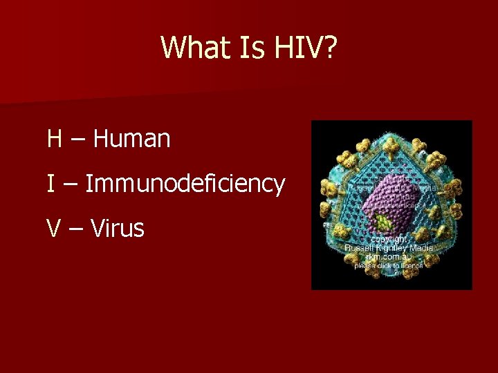 What Is HIV? H – Human I – Immunodeficiency V – Virus 