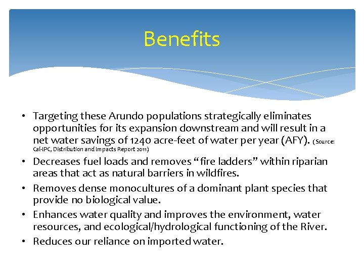 Benefits • Targeting these Arundo populations strategically eliminates opportunities for its expansion downstream and