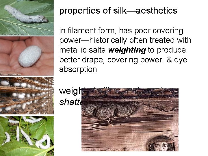 properties of silk—aesthetics in filament form, has poor covering power—historically often treated with metallic properties of silk—aesthetics in filament form, has poor covering power—historically often treated with metallic