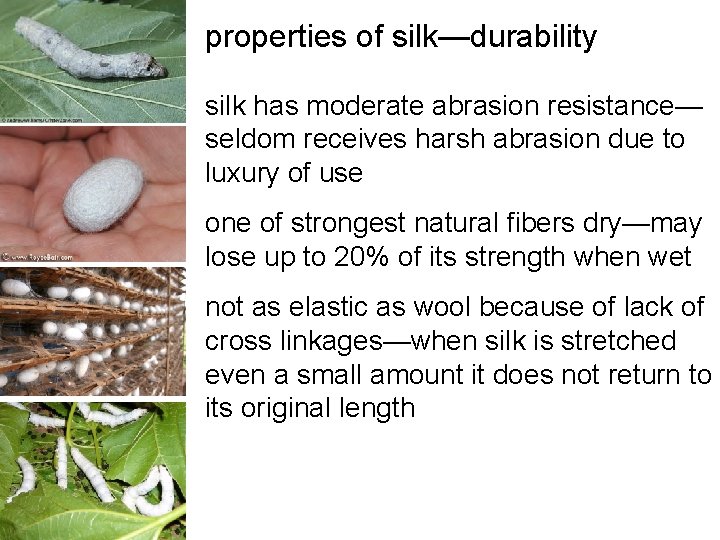 properties of silk—durability silk has moderate abrasion resistance— seldom receives harsh abrasion due to properties of silk—durability silk has moderate abrasion resistance— seldom receives harsh abrasion due to