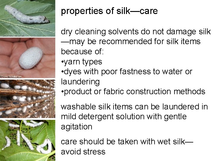 properties of silk—care dry cleaning solvents do not damage silk —may be recommended for properties of silk—care dry cleaning solvents do not damage silk —may be recommended for