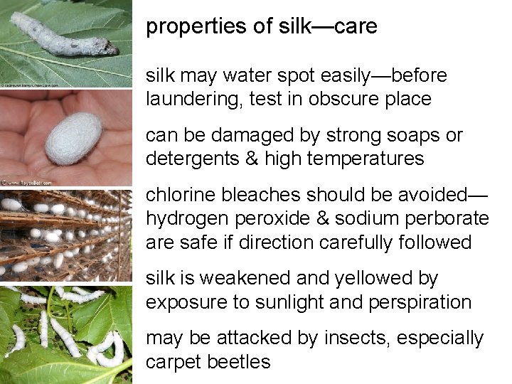 properties of silk—care silk may water spot easily—before laundering, test in obscure place can properties of silk—care silk may water spot easily—before laundering, test in obscure place can