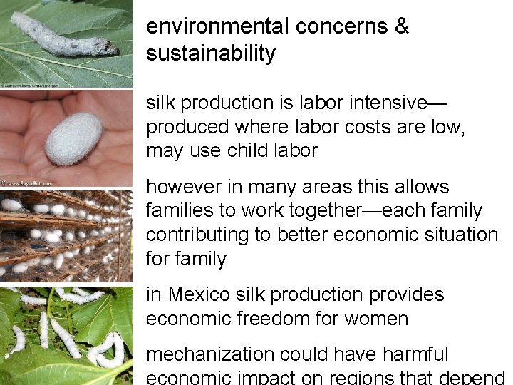 environmental concerns & sustainability silk production is labor intensive— produced where labor costs are environmental concerns & sustainability silk production is labor intensive— produced where labor costs are
