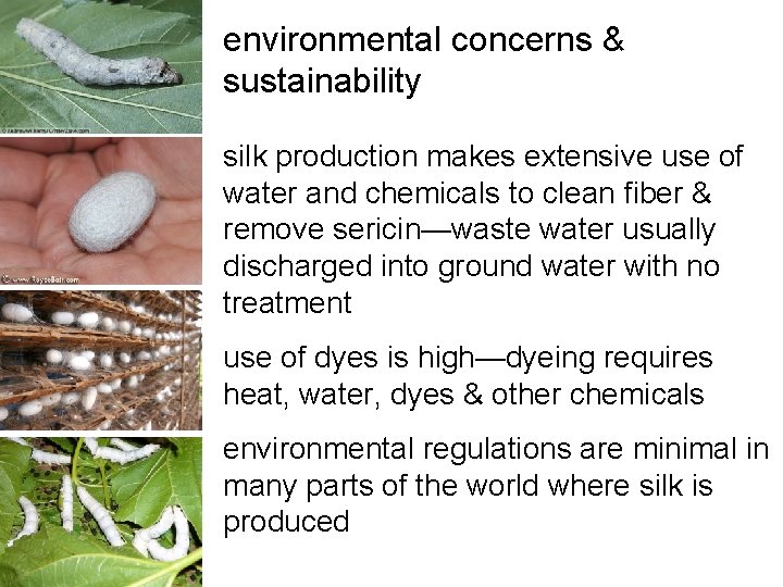 environmental concerns & sustainability silk production makes extensive use of water and chemicals to environmental concerns & sustainability silk production makes extensive use of water and chemicals to