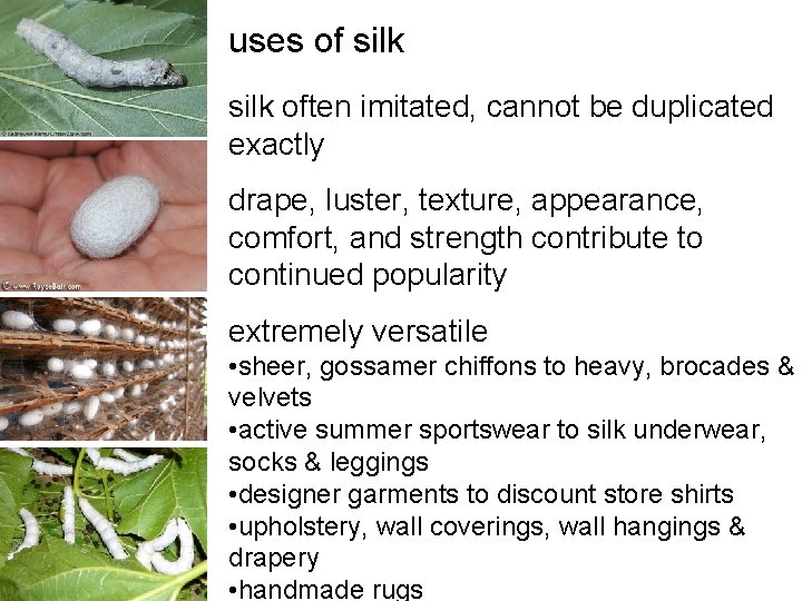 uses of silk often imitated, cannot be duplicated exactly drape, luster, texture, appearance, comfort, uses of silk often imitated, cannot be duplicated exactly drape, luster, texture, appearance, comfort,